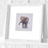 Elephant Preframed Print