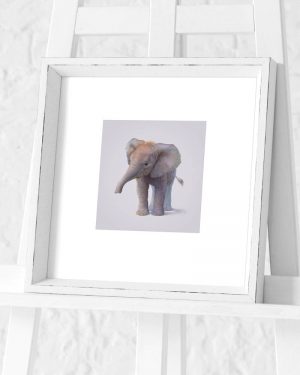 Elephant Preframed Print